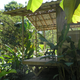 Illustration for article titled Bellavista's Biodigesting Treehouses Are Endor on Earth